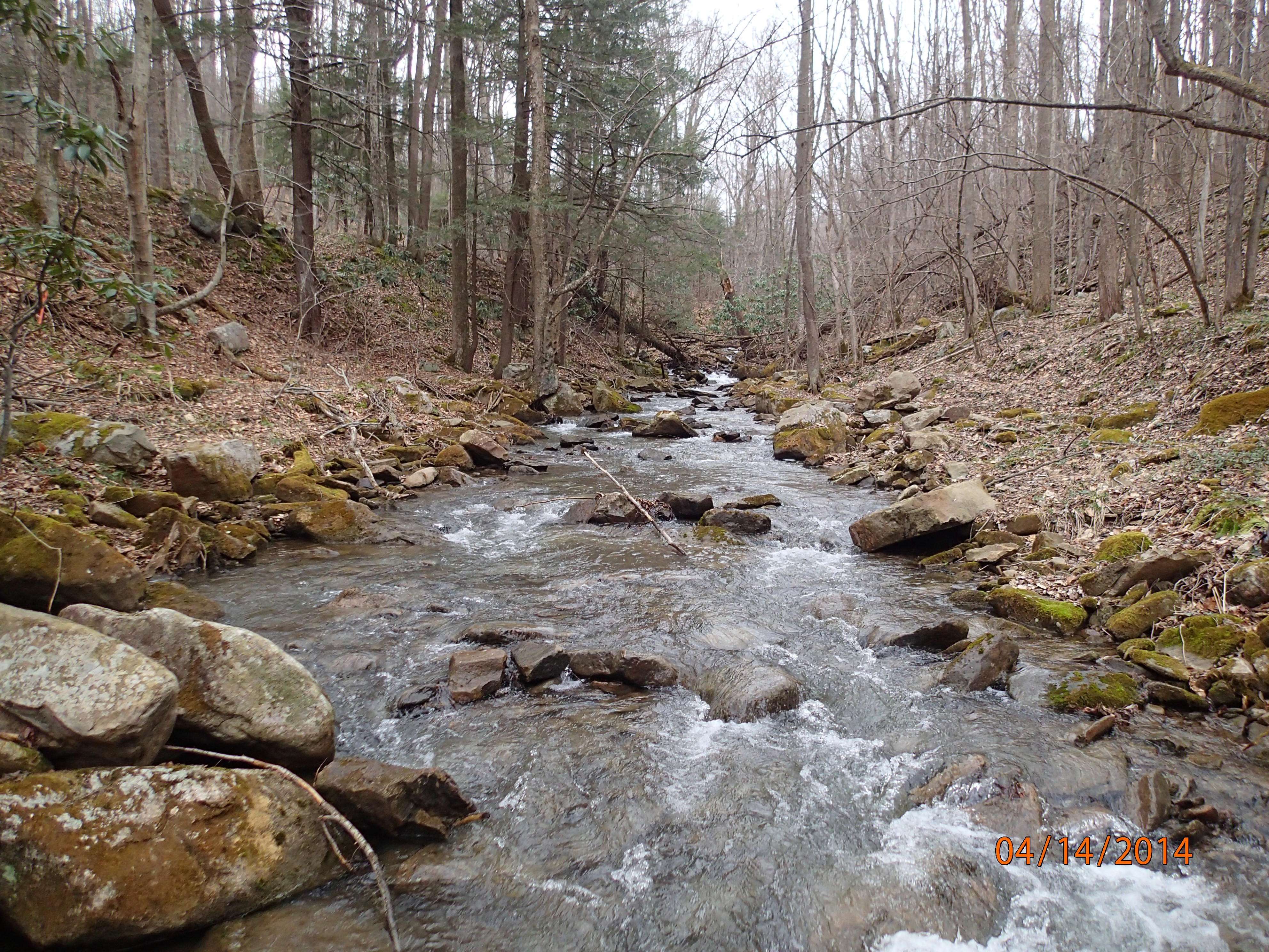 Field photo showing stream conditions at site PRUN-202-X-2014-MidpointUpstream