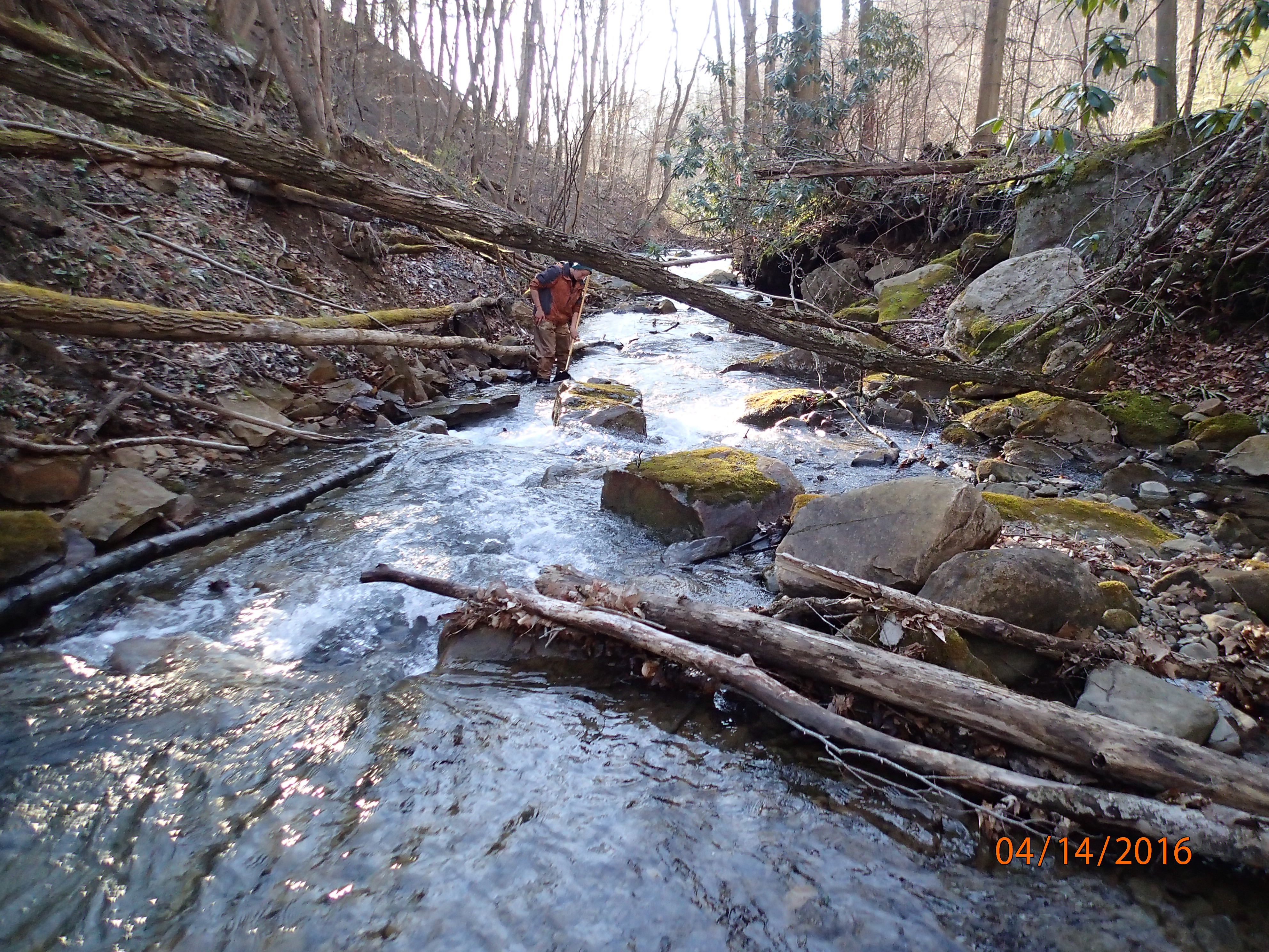 Field photo showing stream conditions at site PRUN-202-X-2016-MidpointDownstream