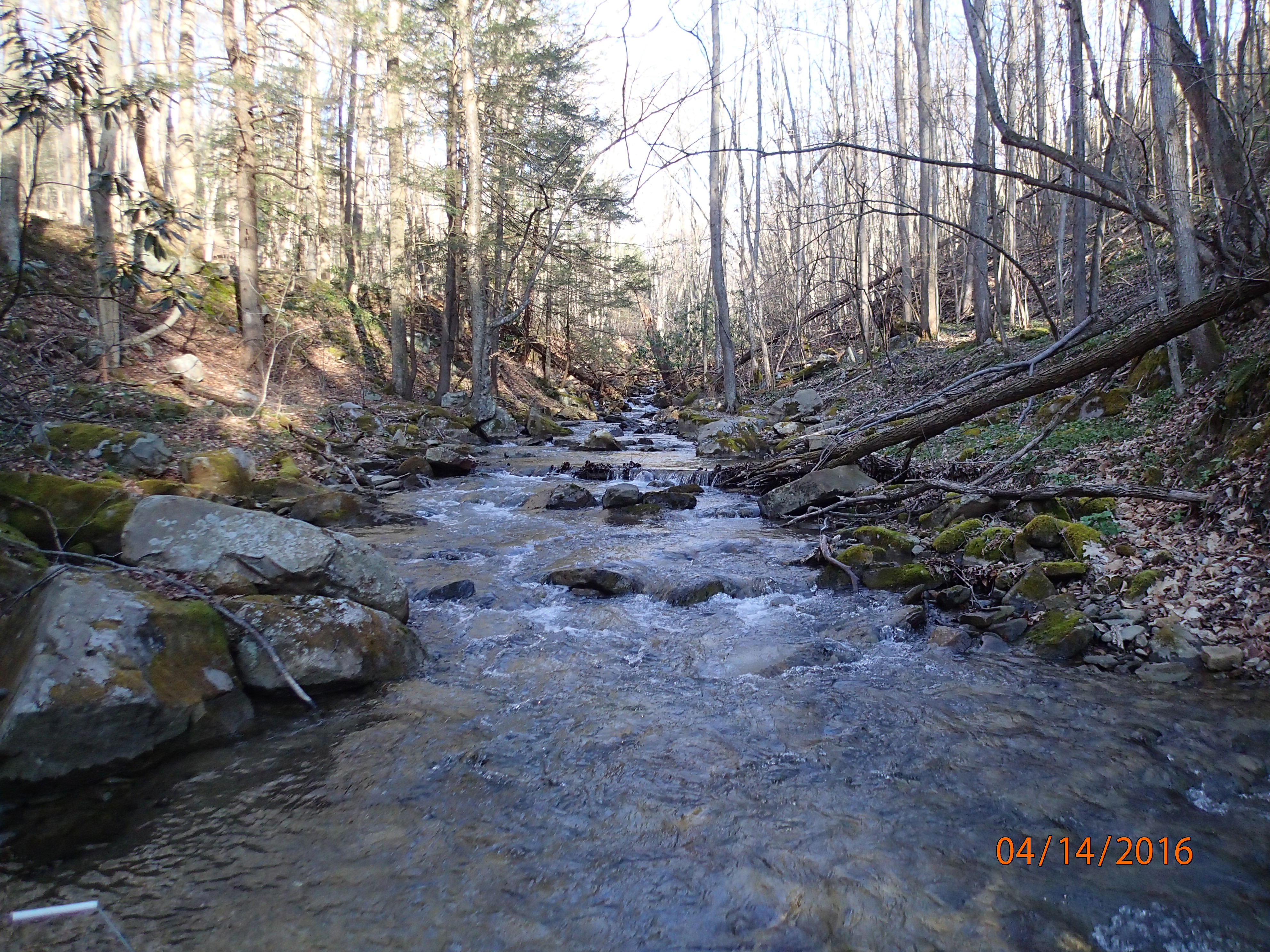 Field photo showing stream conditions at site PRUN-202-X-2016-MidpointUpstream