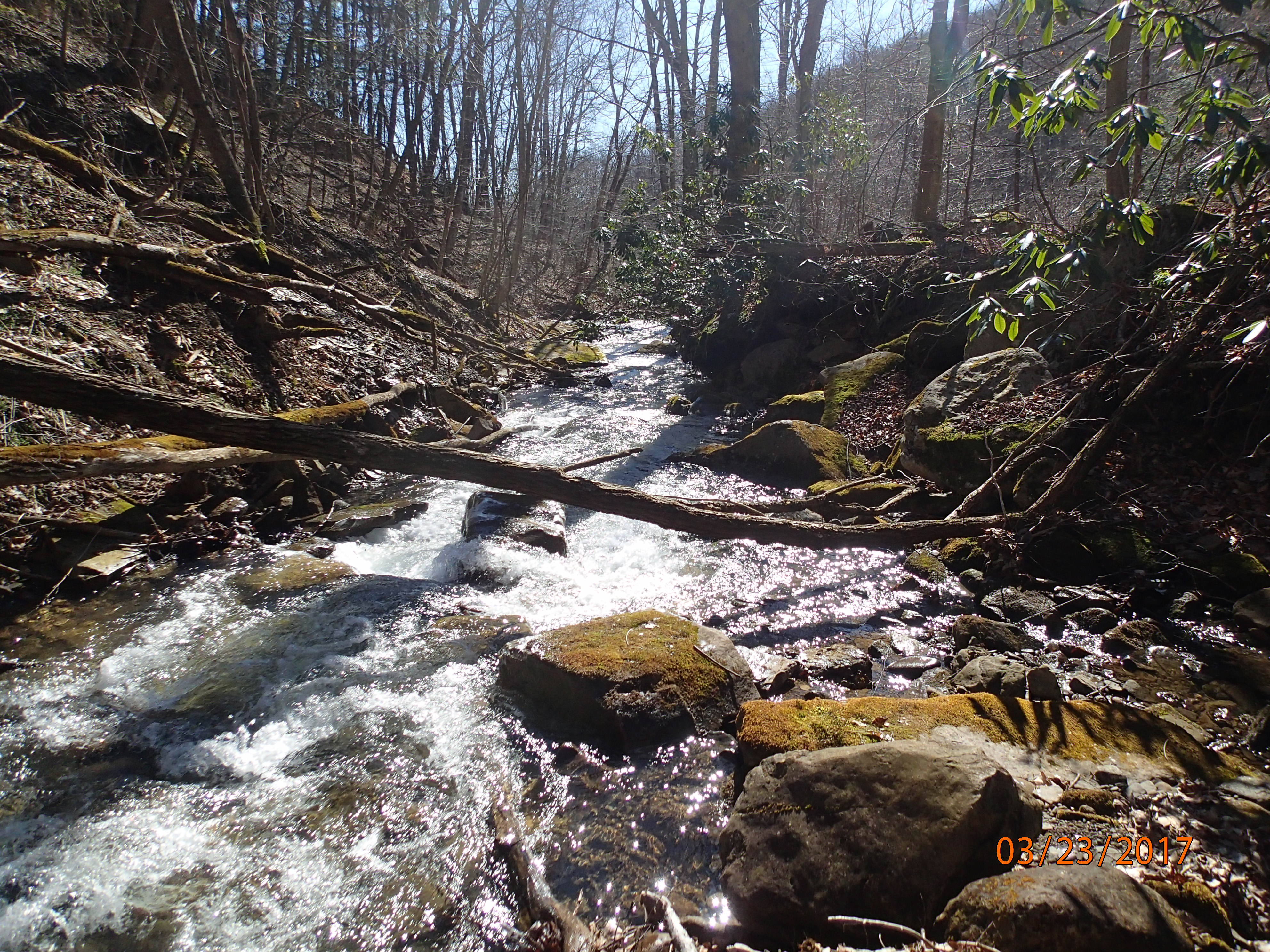 Field photo showing stream conditions at site PRUN-202-X-2017-MidpointDownstream