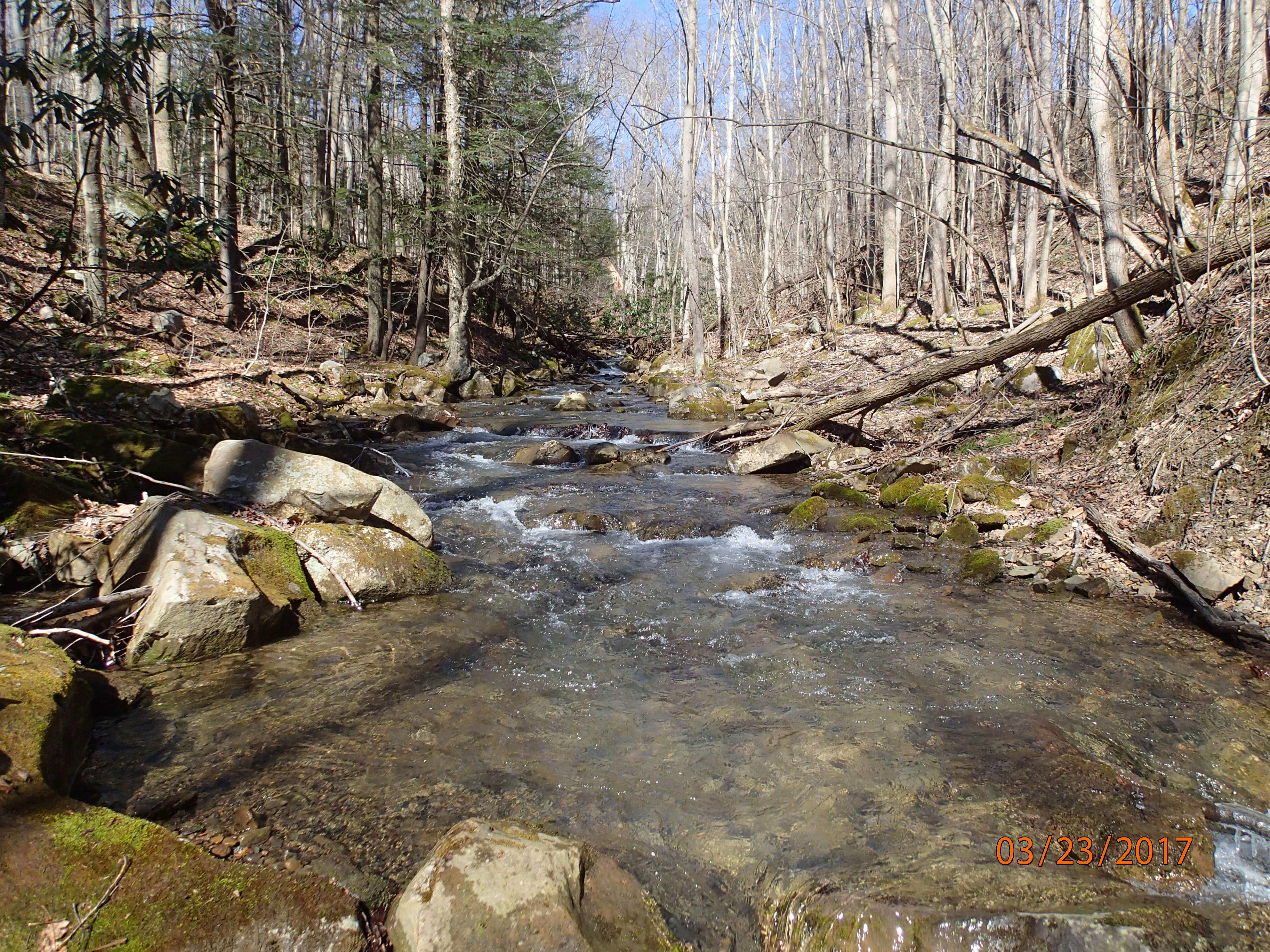 Field photo showing stream conditions at site PRUN-202-X-2017-MidpointUpstream