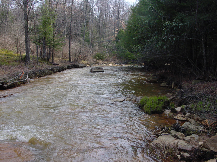 Field photo showing stream conditions at site PRUN-203-R-2007-1