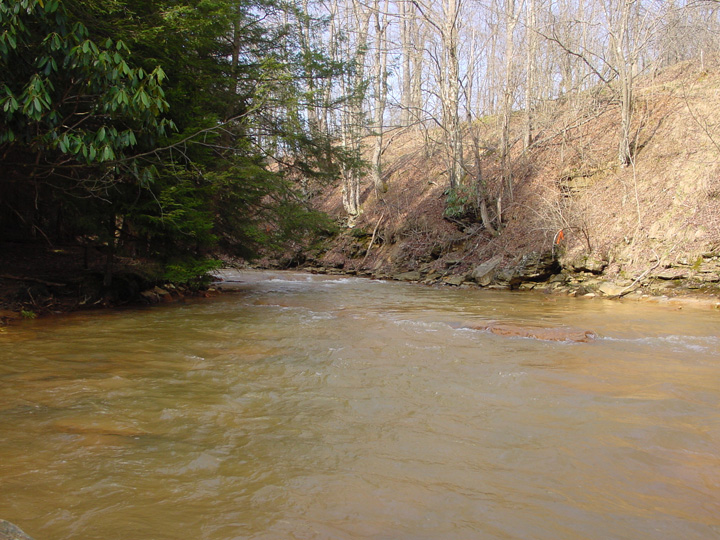 Field photo showing stream conditions at site PRUN-203-R-2007-2