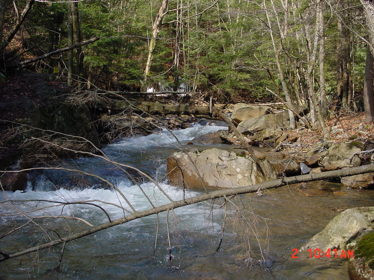 Field photo showing stream conditions at site PRUN-205-R-2001-1