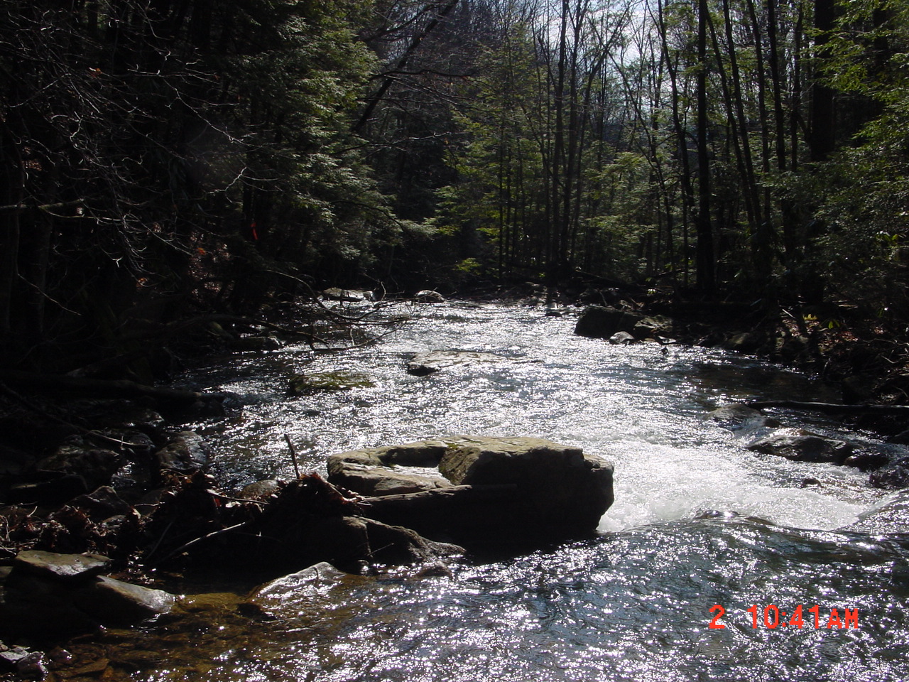 Field photo showing stream conditions at site PRUN-205-R-2001-2
