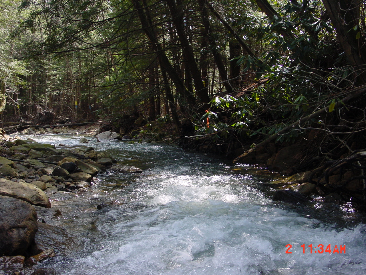 Field photo showing stream conditions at site PRUN-210-R-2001-1