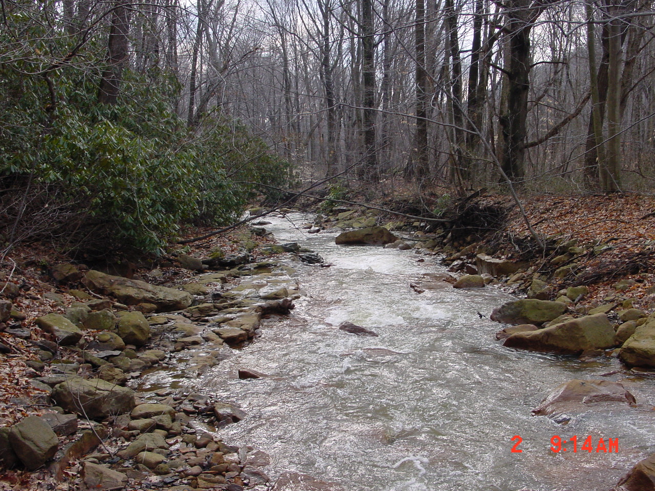 Field photo showing stream conditions at site PRUN-211-R-2001-1