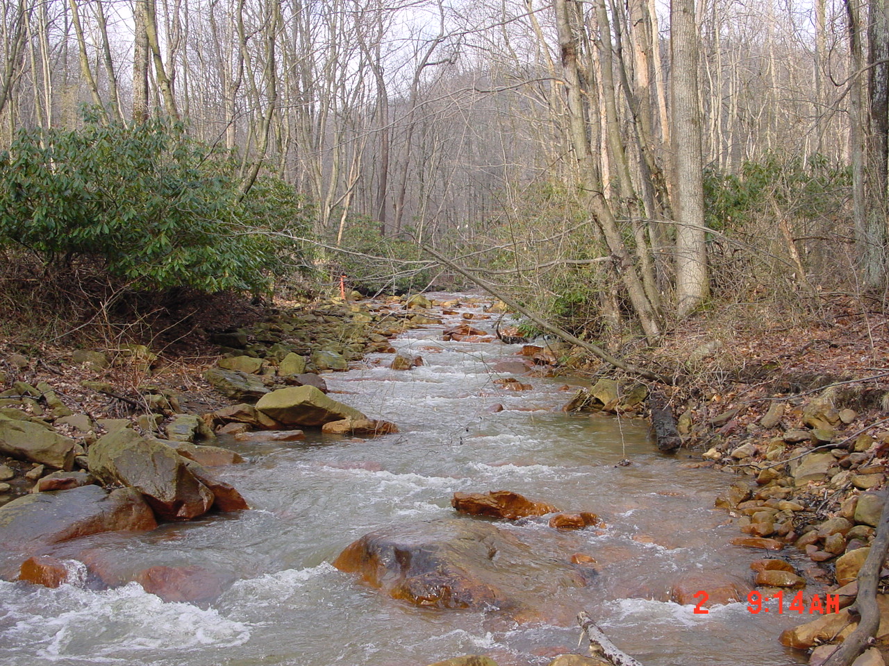 Field photo showing stream conditions at site PRUN-211-R-2001-2