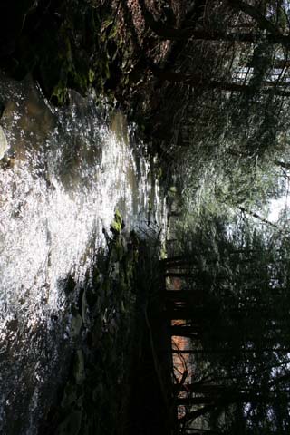 Field photo showing stream conditions at site PRUN-291-A-2012_Mid-point_Downstream