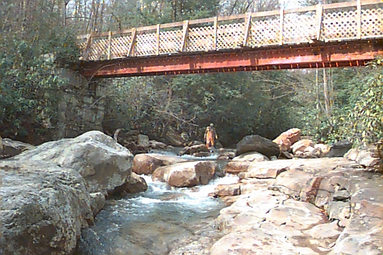 Field photo showing stream conditions at site PRUN-302-C-2000-01