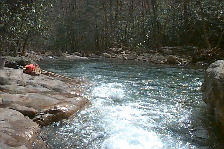 Field photo showing stream conditions at site PRUN-302-C-2000-02