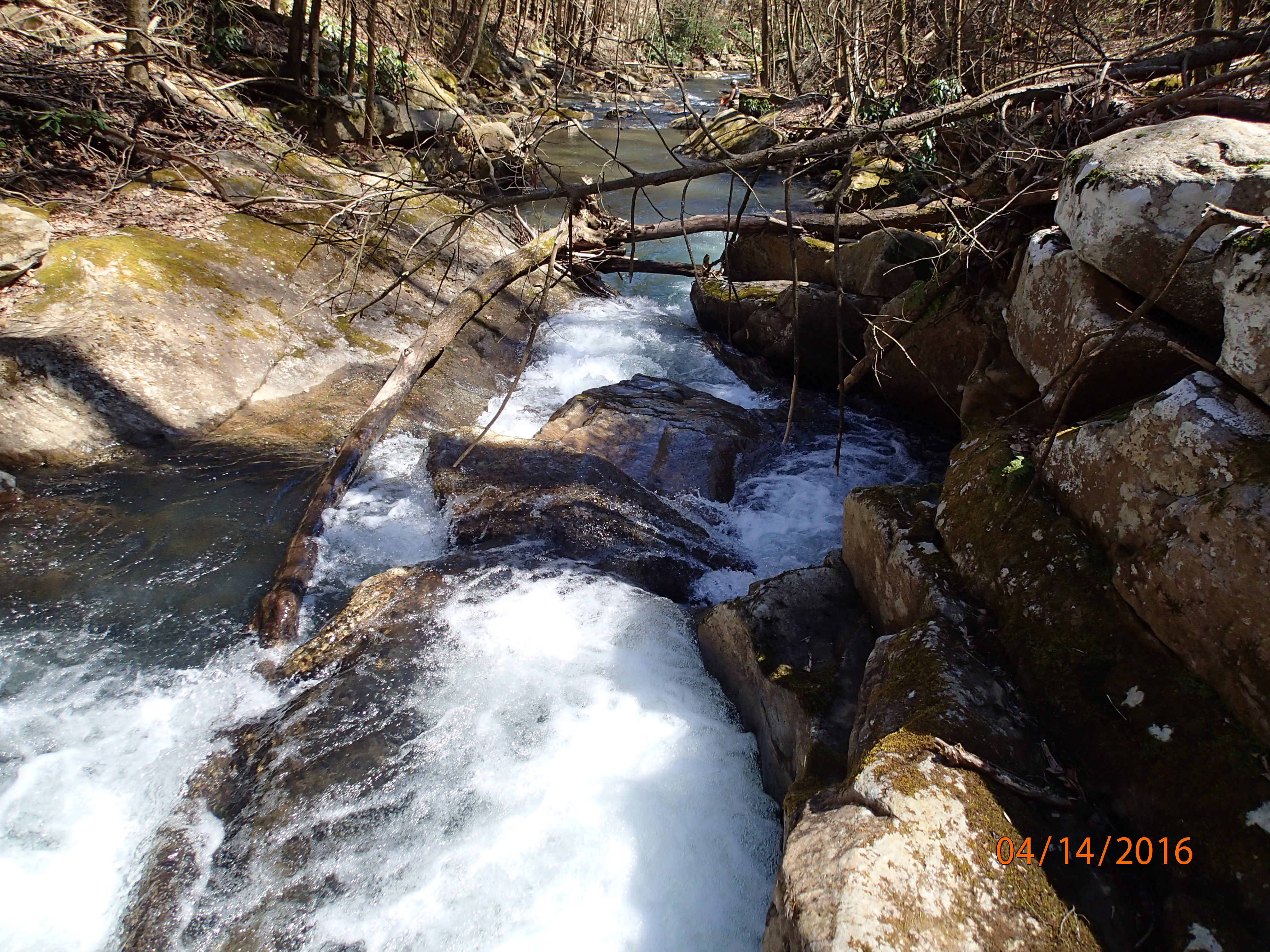 Field photo showing stream conditions at site PRUN-306-R-2016-MidpointDownstream