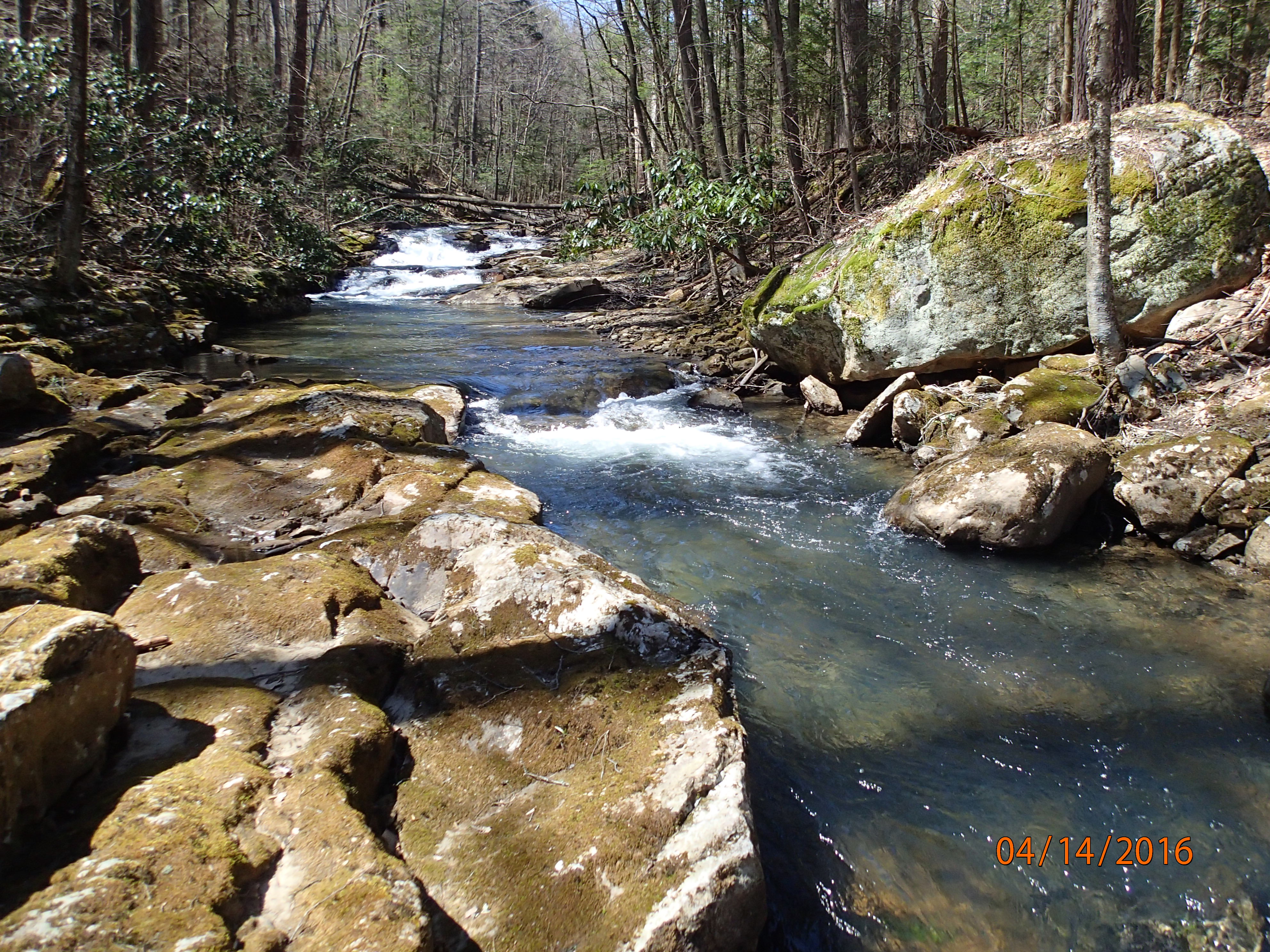 Field photo showing stream conditions at site PRUN-306-R-2016-MidpointUpstream