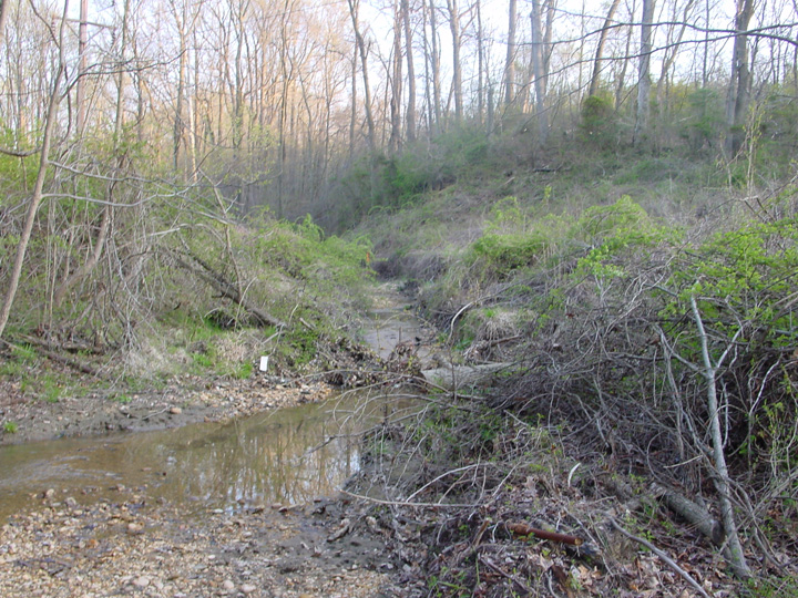 Field photo showing stream conditions at site PRUT-101-B-2007-1