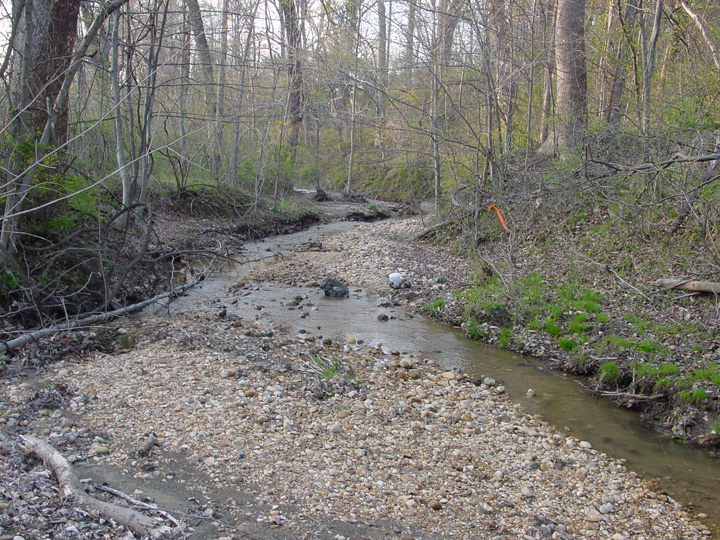 Field photo showing stream conditions at site PRUT-101-B-2007-2