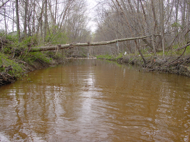 Field photo showing stream conditions at site PRUT-102-B-2007-2