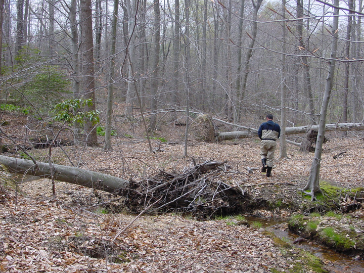 Field photo showing stream conditions at site PRUT-103-B-2007-2