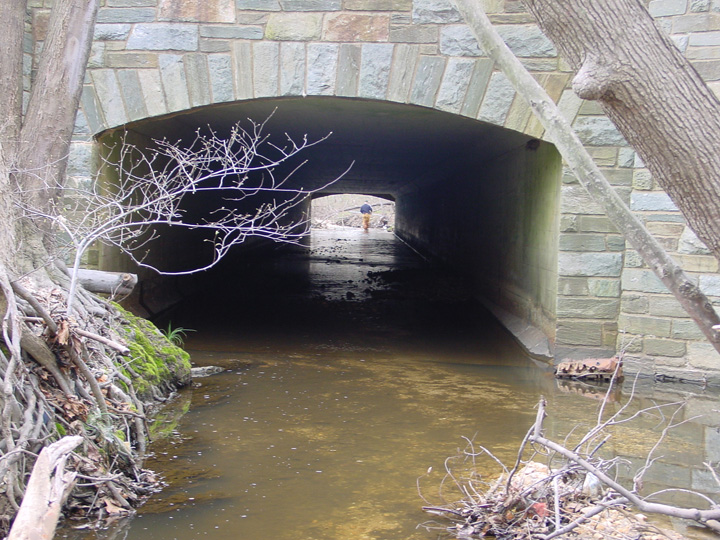 Field photo showing stream conditions at site PRUT-106-B-2007-1