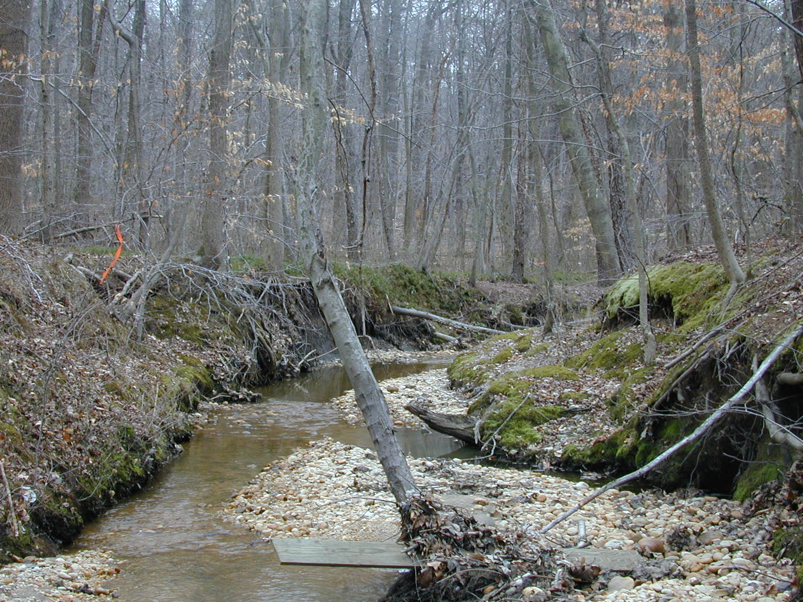 Field photo showing stream conditions at site PRUT-106-R-2001-20