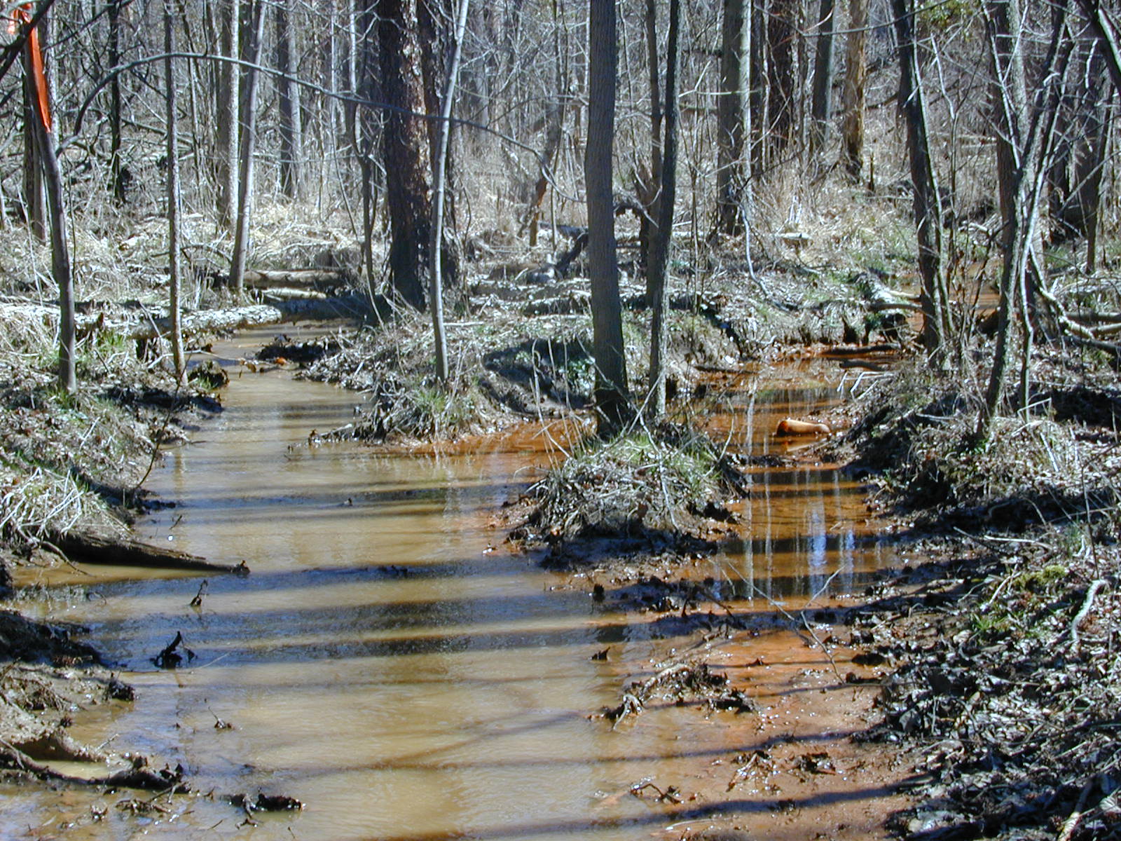 Field photo showing stream conditions at site PRUT-107-R-2001-124