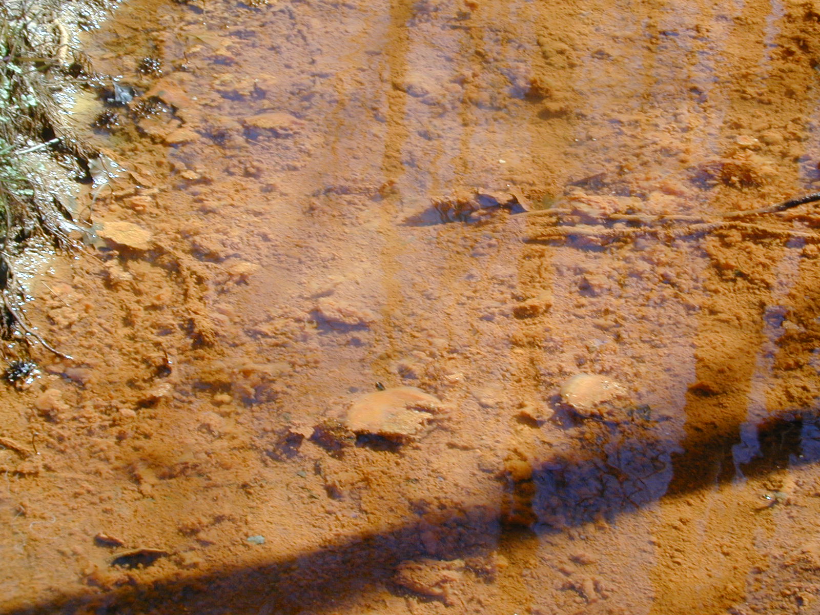 Field photo showing stream conditions at site PRUT-107-R-2001-125