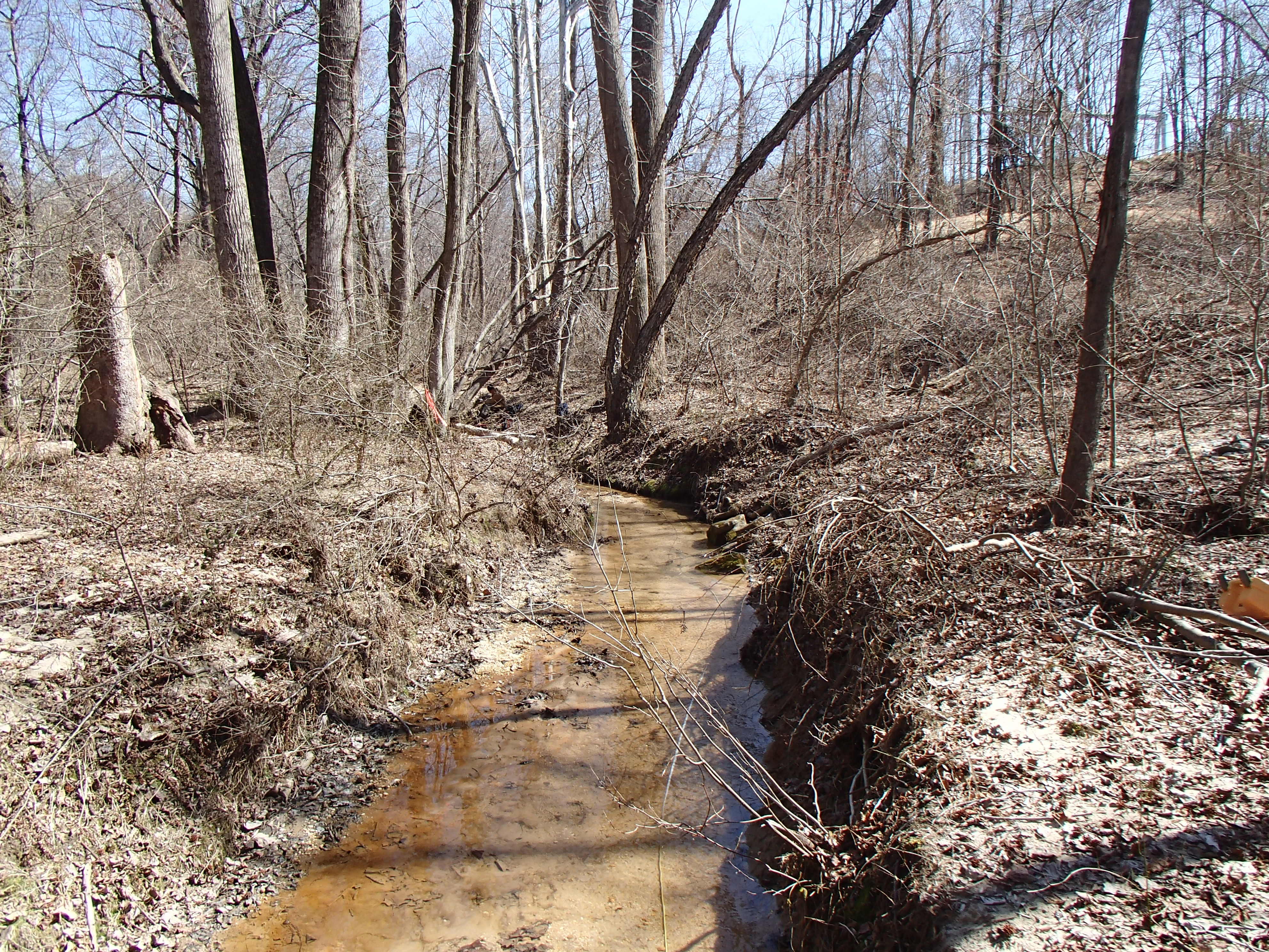 Field photo showing stream conditions at site PRUT-107-R-2015_Midpoint-facing-downstream