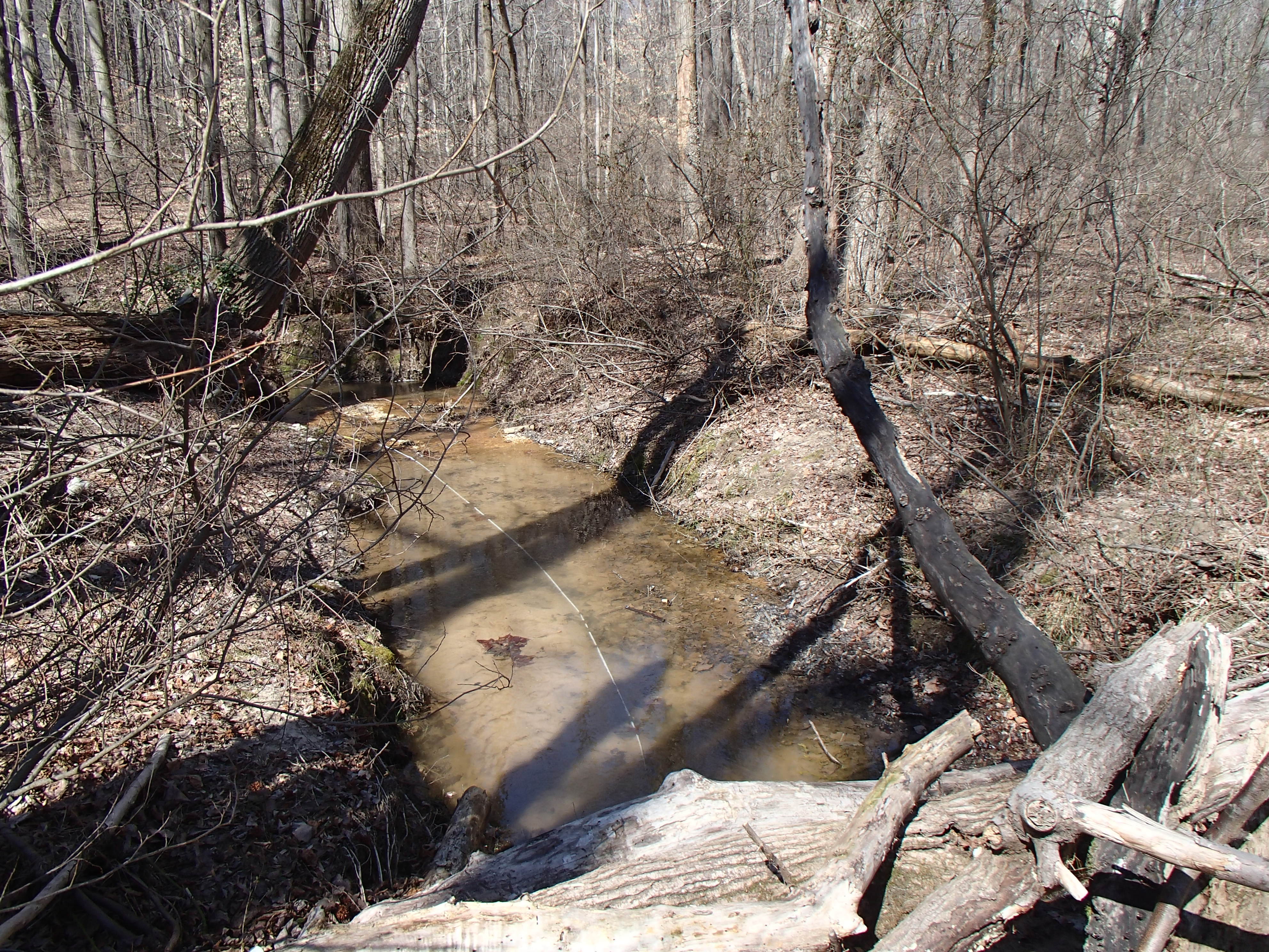 Field photo showing stream conditions at site PRUT-107-R-2015_Midpoint-facing-upstream