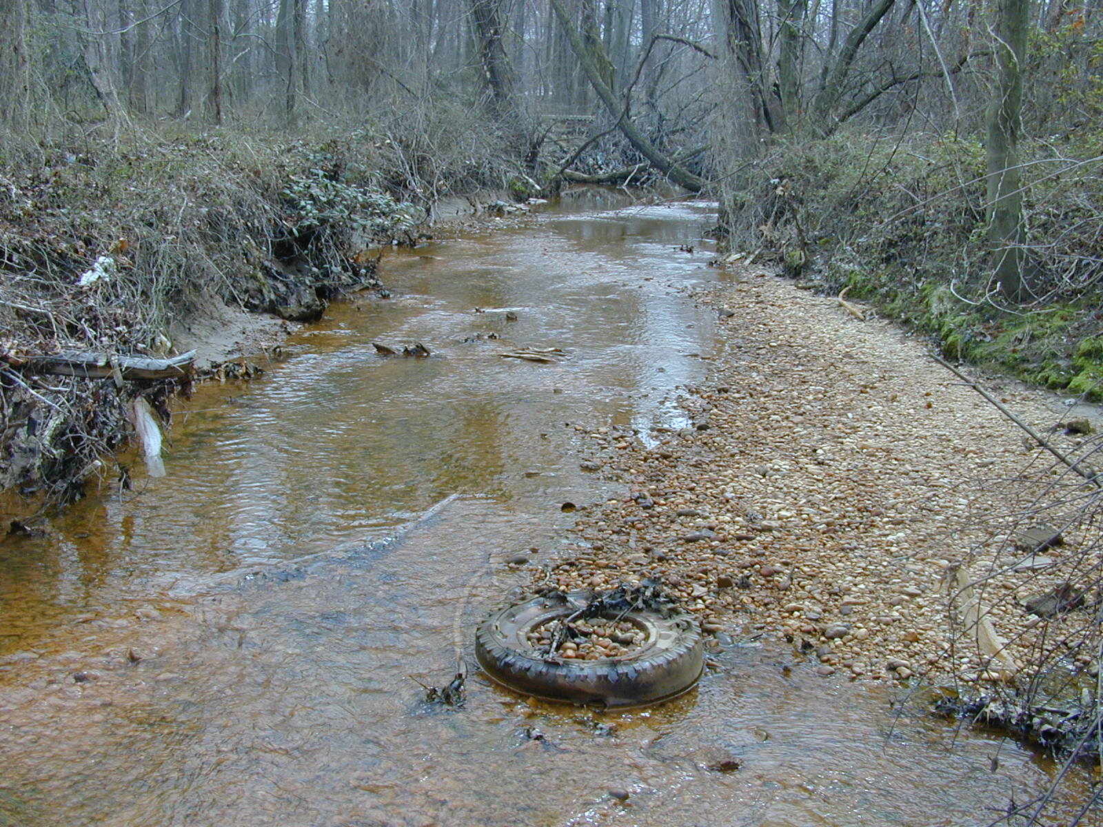 Field photo showing stream conditions at site PRUT-108-R-2001-17