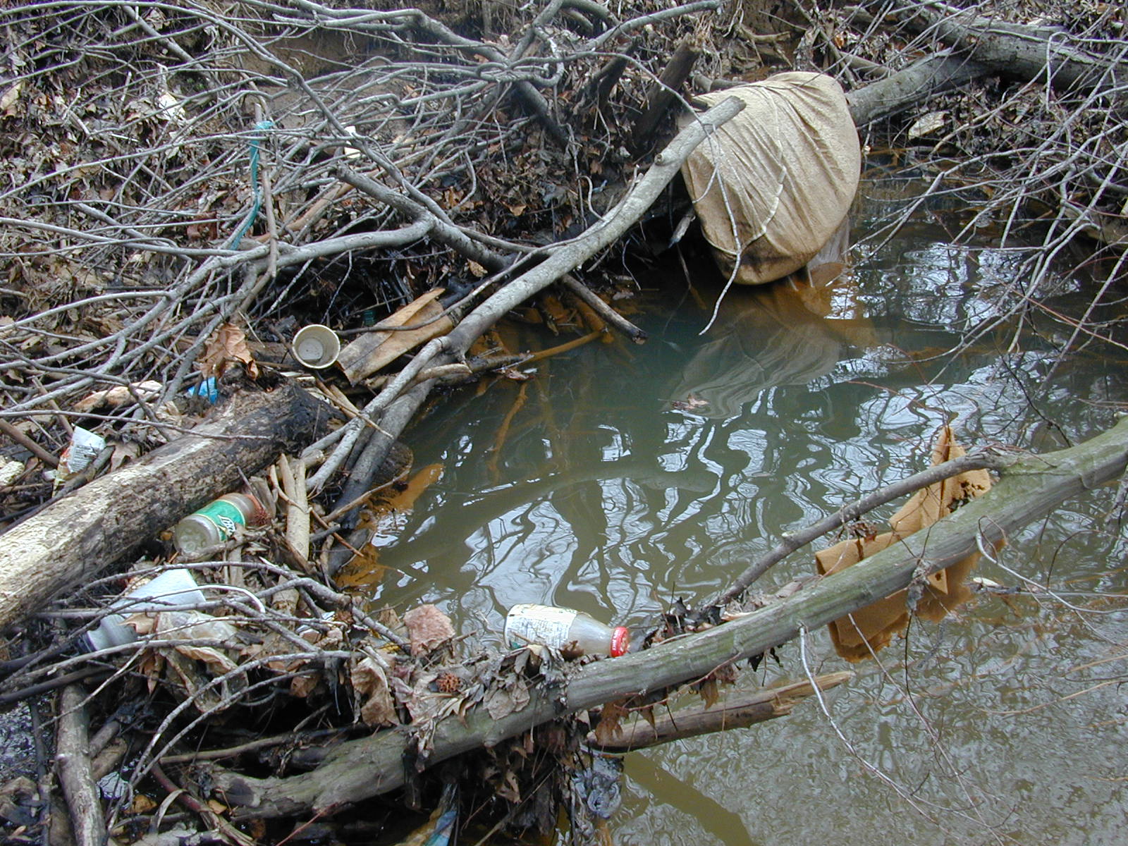 Field photo showing stream conditions at site PRUT-108-R-2001-18