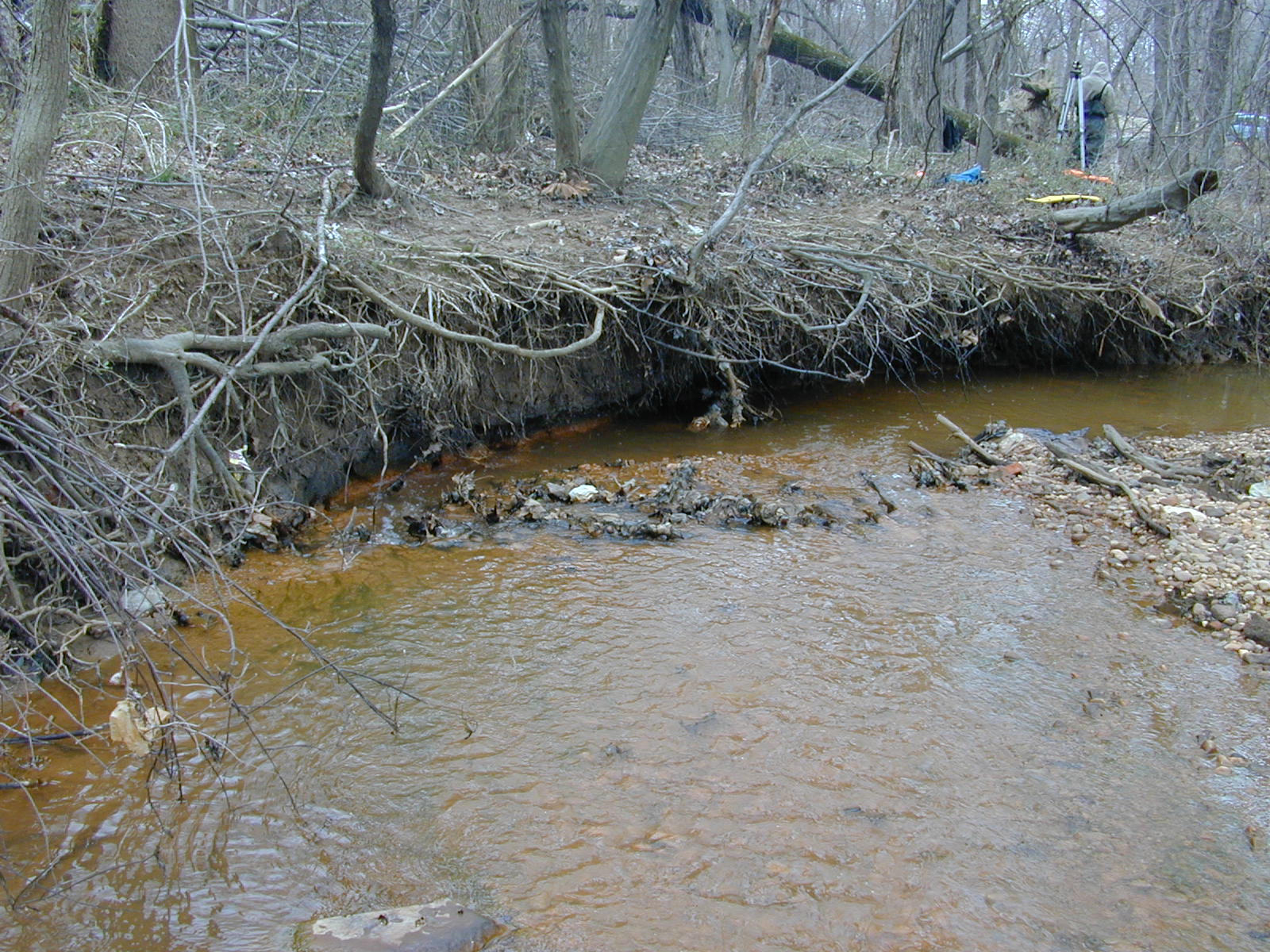 Field photo showing stream conditions at site PRUT-108-R-2001-19