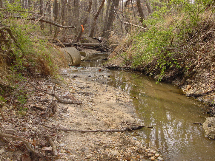 Field photo showing stream conditions at site PRUT-112-B-2007-2