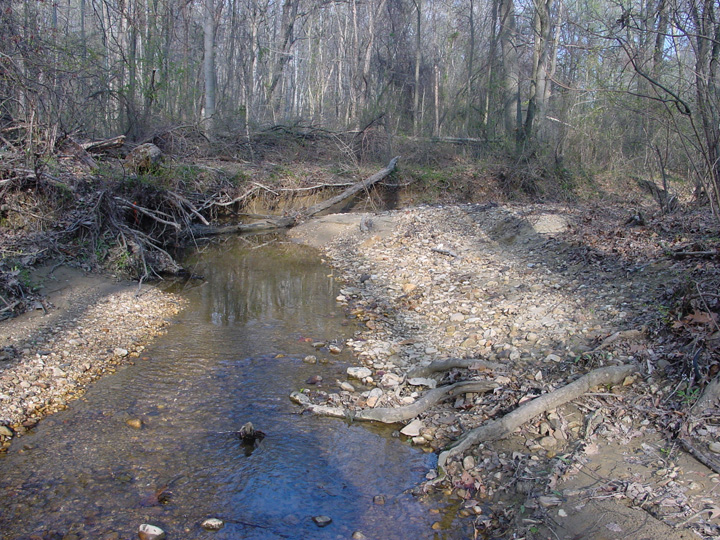 Field photo showing stream conditions at site PRUT-113-B-2007-1