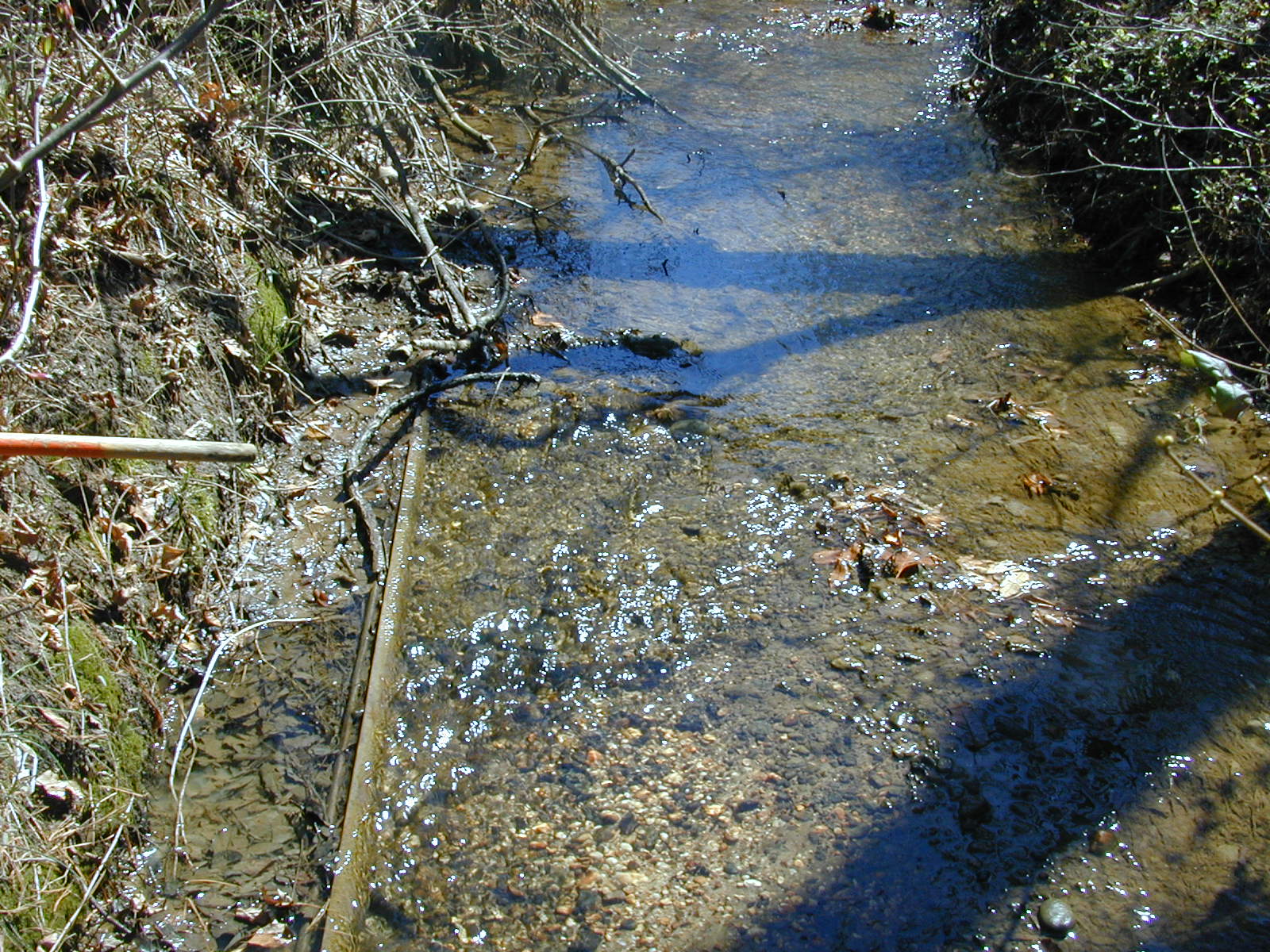 Field photo showing stream conditions at site PRUT-114-R-2001-1