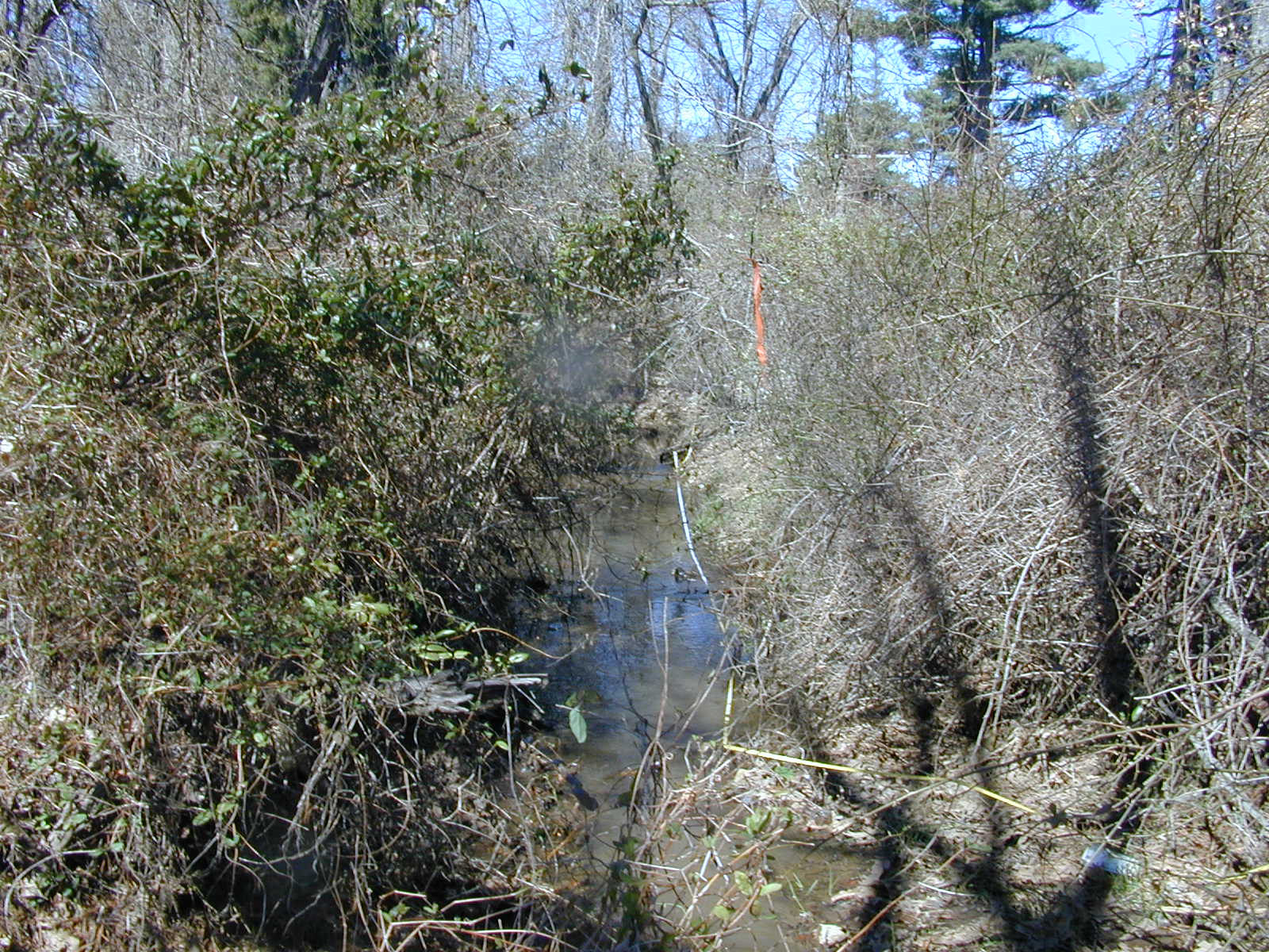 Field photo showing stream conditions at site PRUT-114-R-2001-126