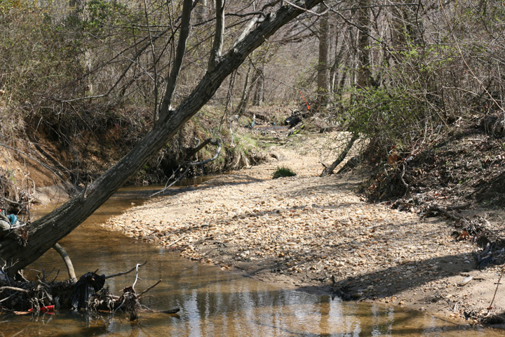 Field photo showing stream conditions at site PRUT-114-R-2009-2