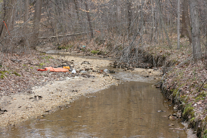 Field photo showing stream conditions at site PRUT-115-R-2009-2