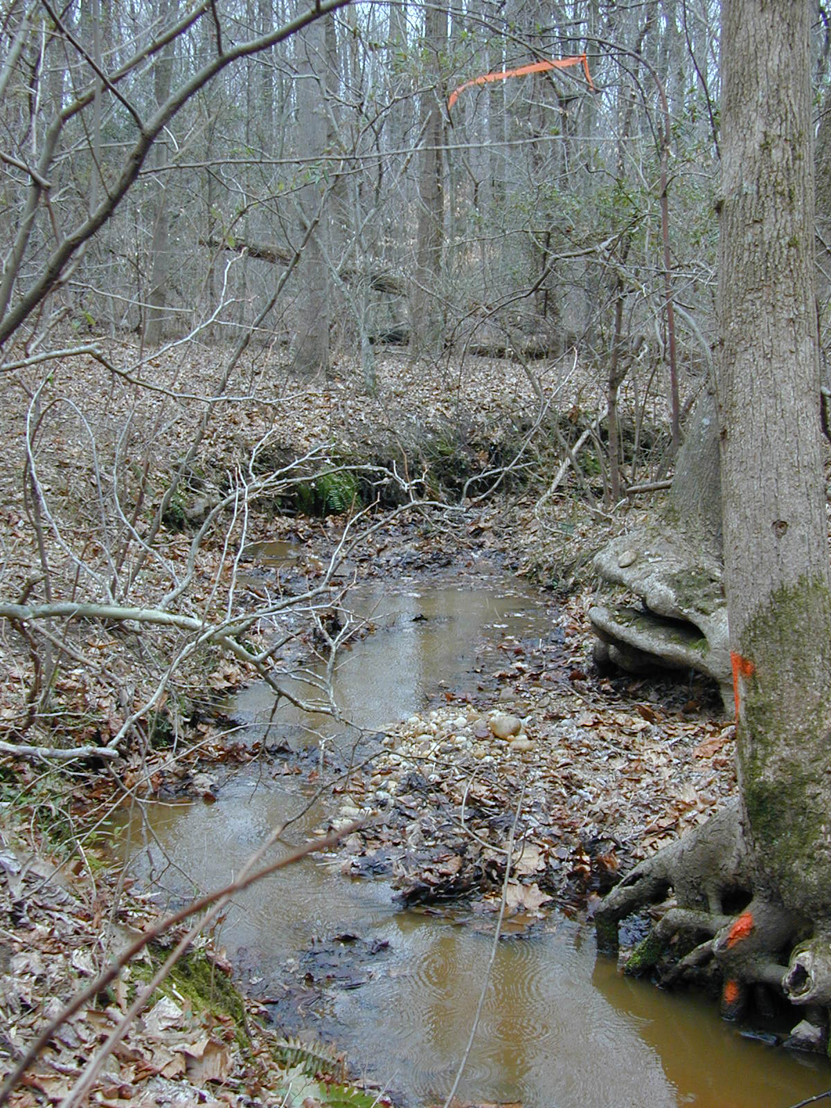 Field photo showing stream conditions at site PRUT-116-R-2001-5
