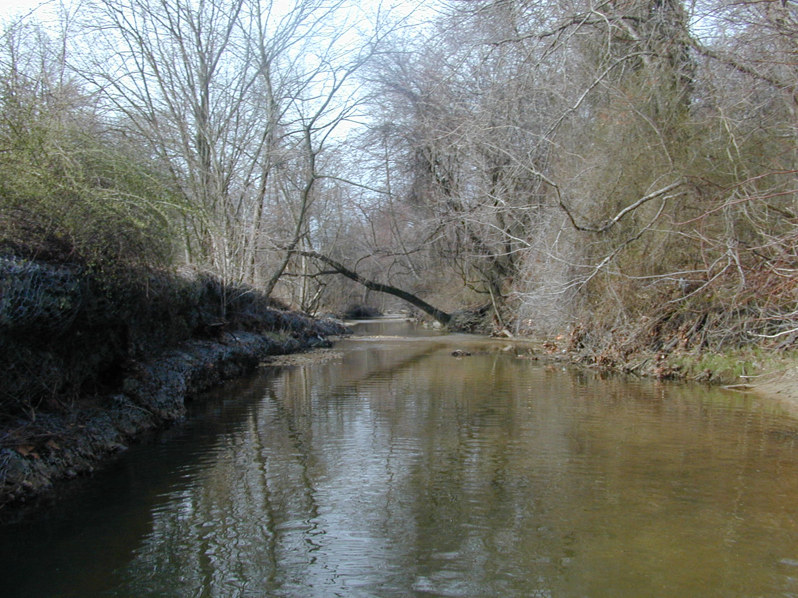 Field photo showing stream conditions at site PRUT-202-R-2001-10