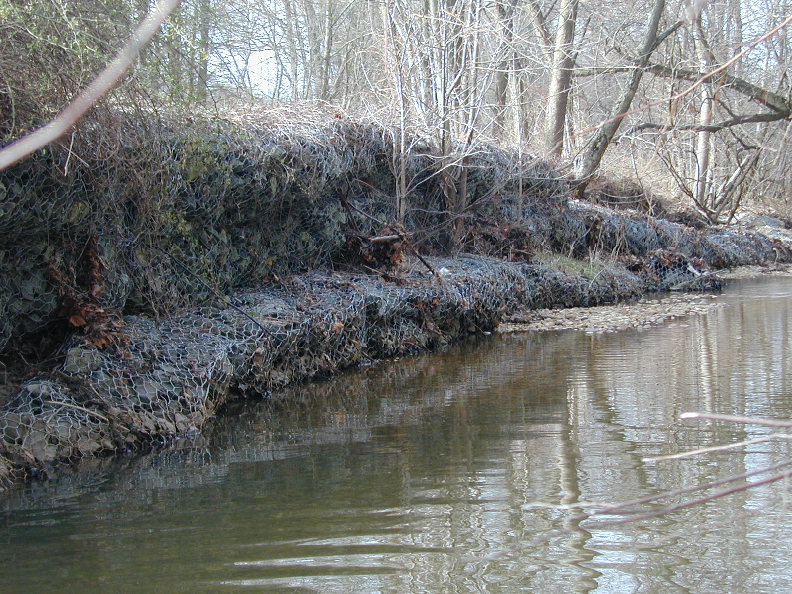 Field photo showing stream conditions at site PRUT-202-R-2001-8