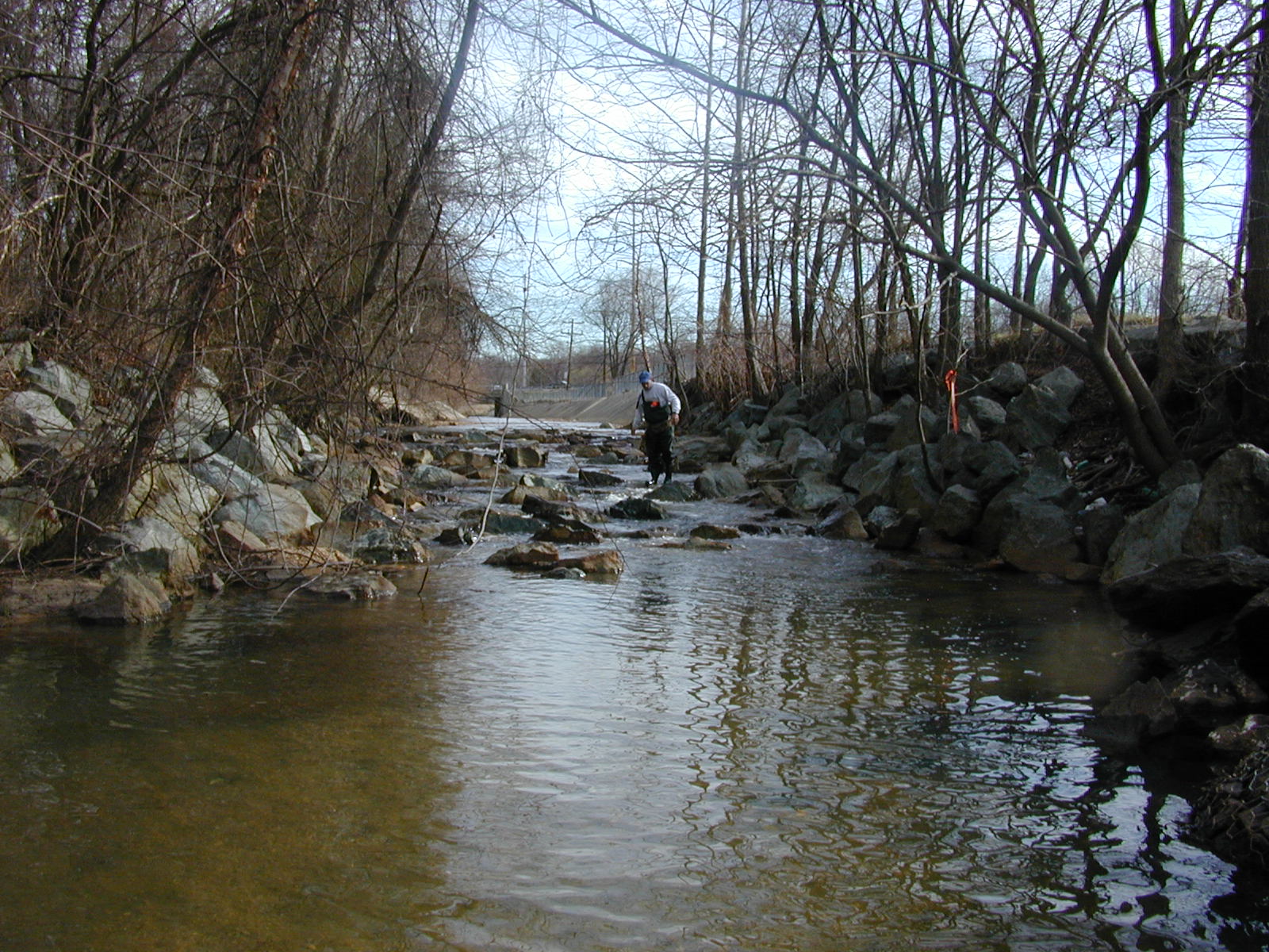Field photo showing stream conditions at site PRUT-202-R-2001-9