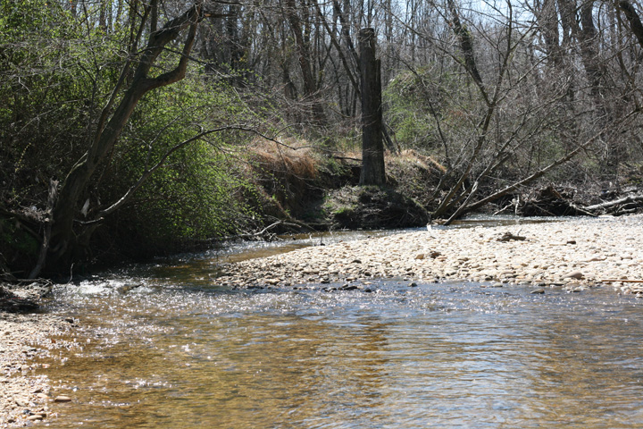 Field photo showing stream conditions at site PRUT-202-R-2009-1