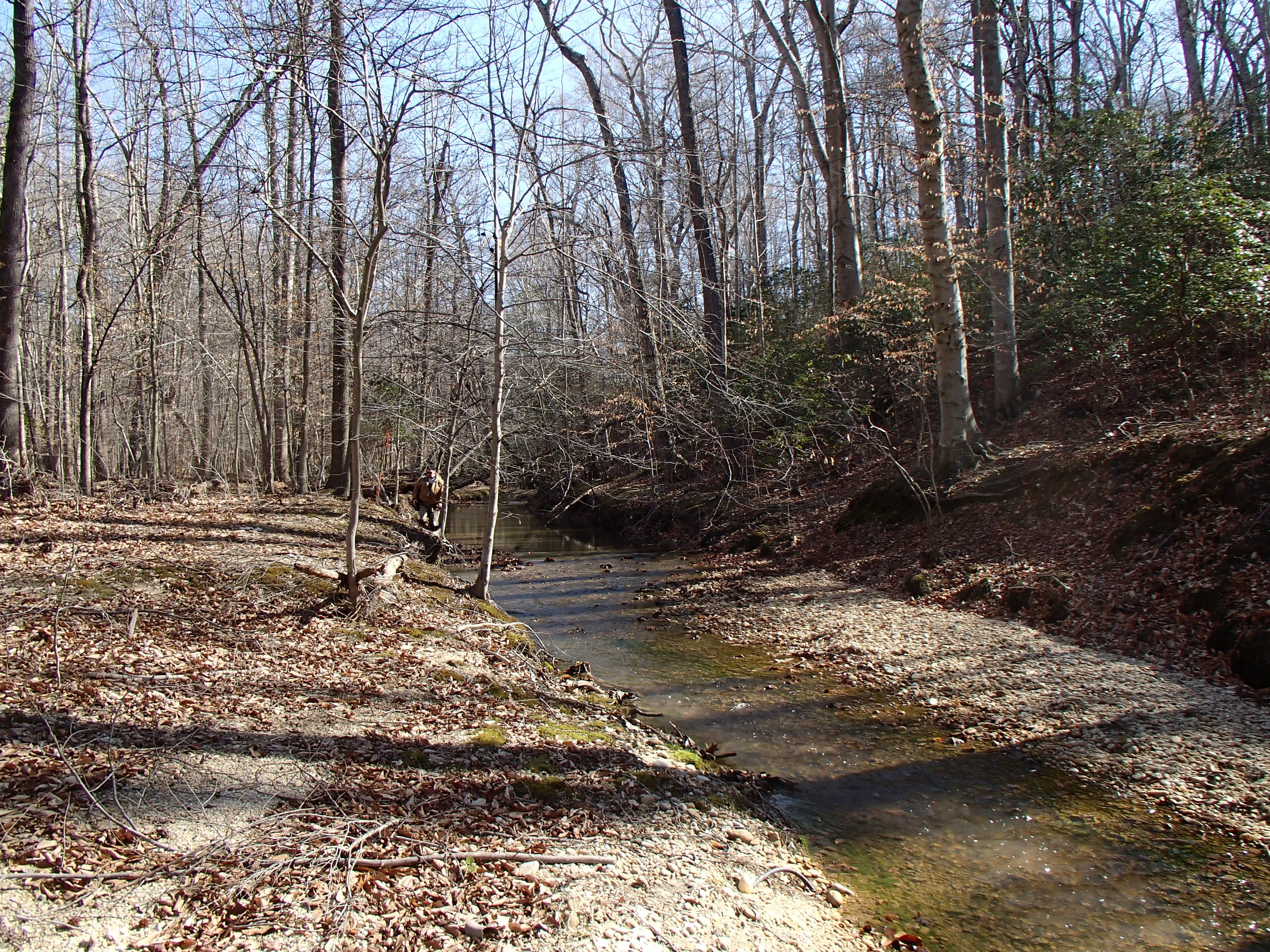 Field photo showing stream conditions at site PRUT-202-R-2015_Midpoint-looking-upstream
