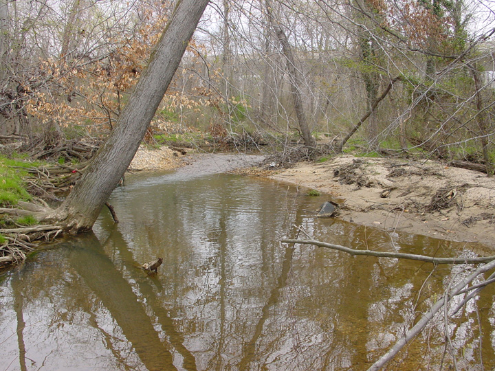 Field photo showing stream conditions at site PRUT-208-B-2007-2