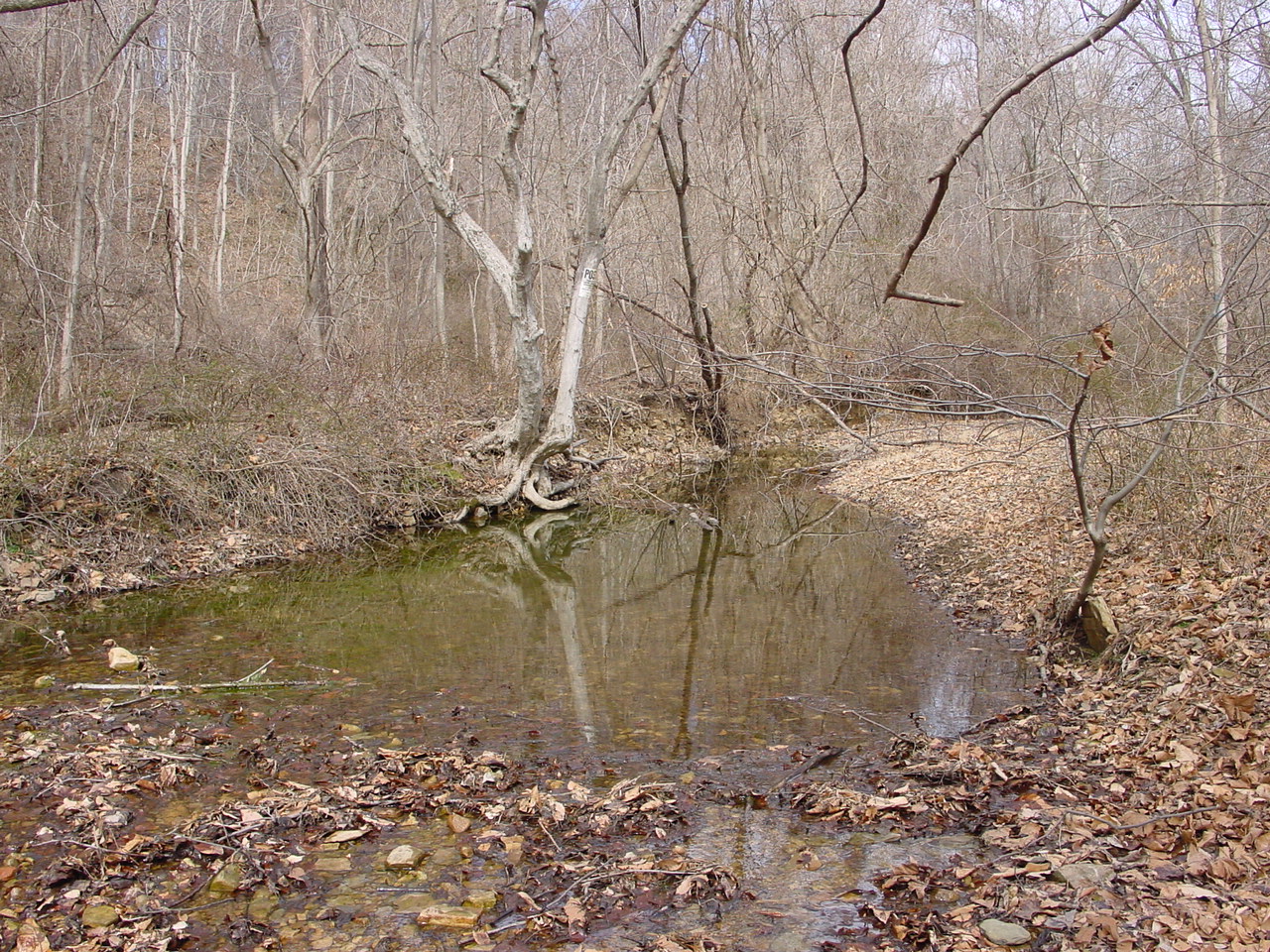 Field photo showing stream conditions at site PRWA-102-R-2002-1