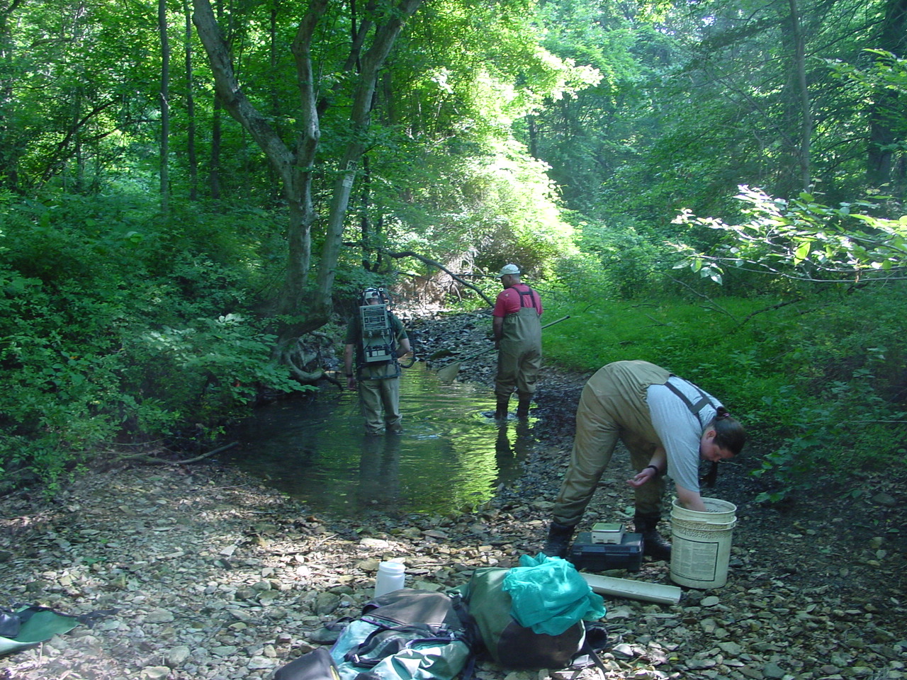 Field photo showing stream conditions at site PRWA-102-R-2002-3