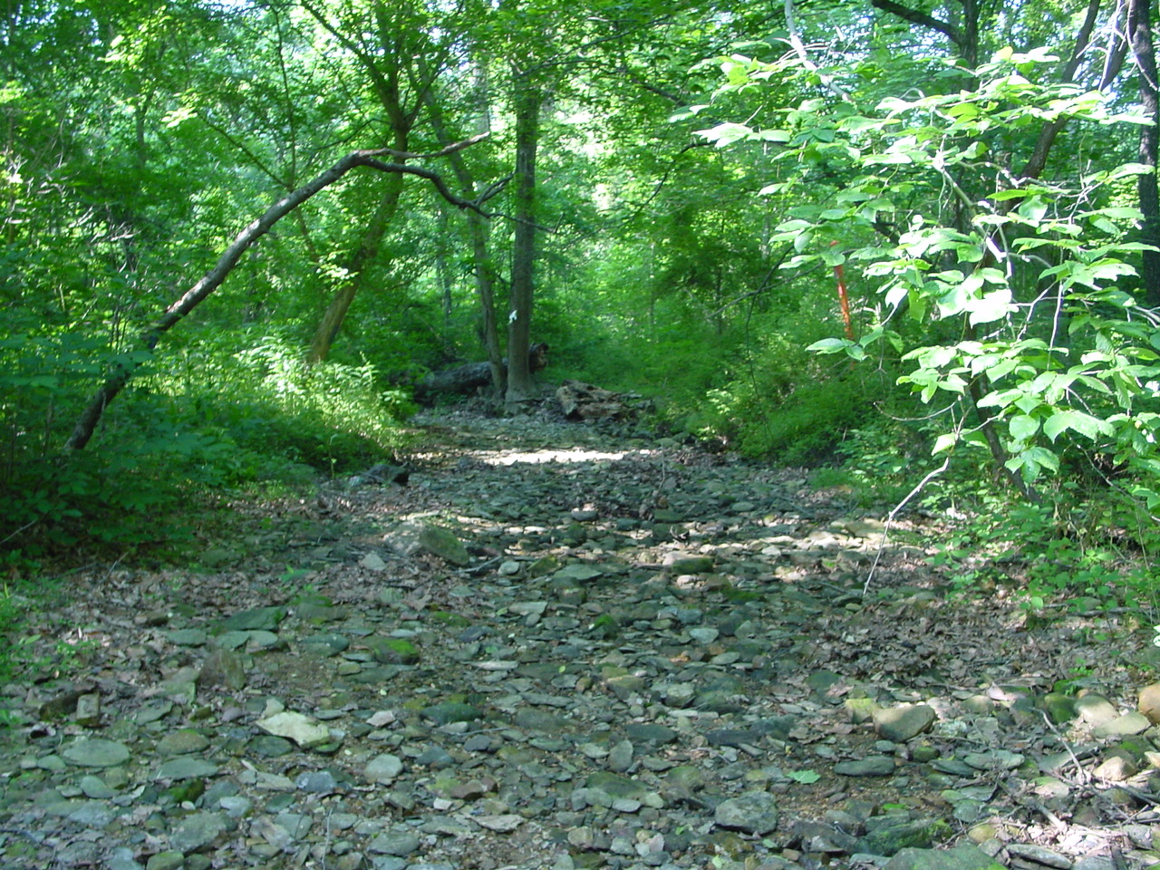 Field photo showing stream conditions at site PRWA-102-R-2002-4