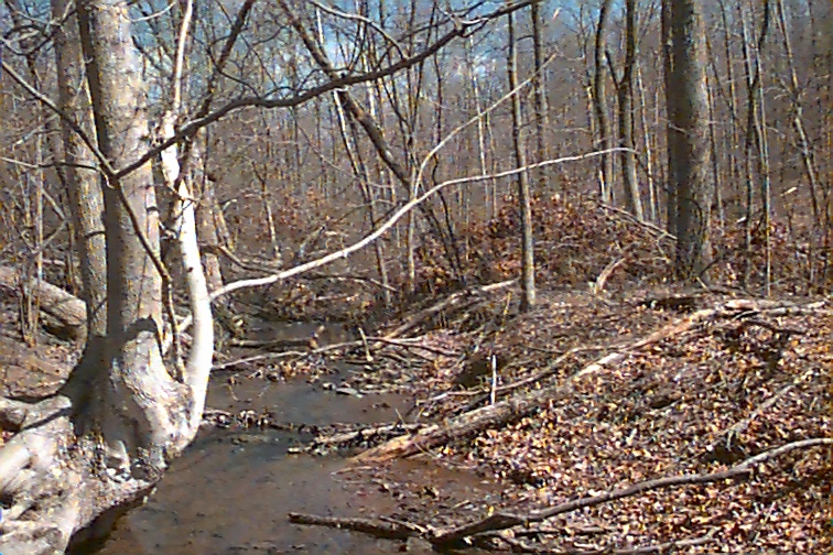 Field photo showing stream conditions at site PRWA-103-R-2000-01