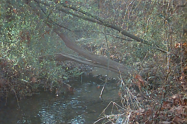 Field photo showing stream conditions at site PRWA-104-R-2000-01