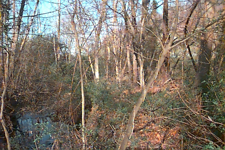 Field photo showing stream conditions at site PRWA-104-R-2000-02