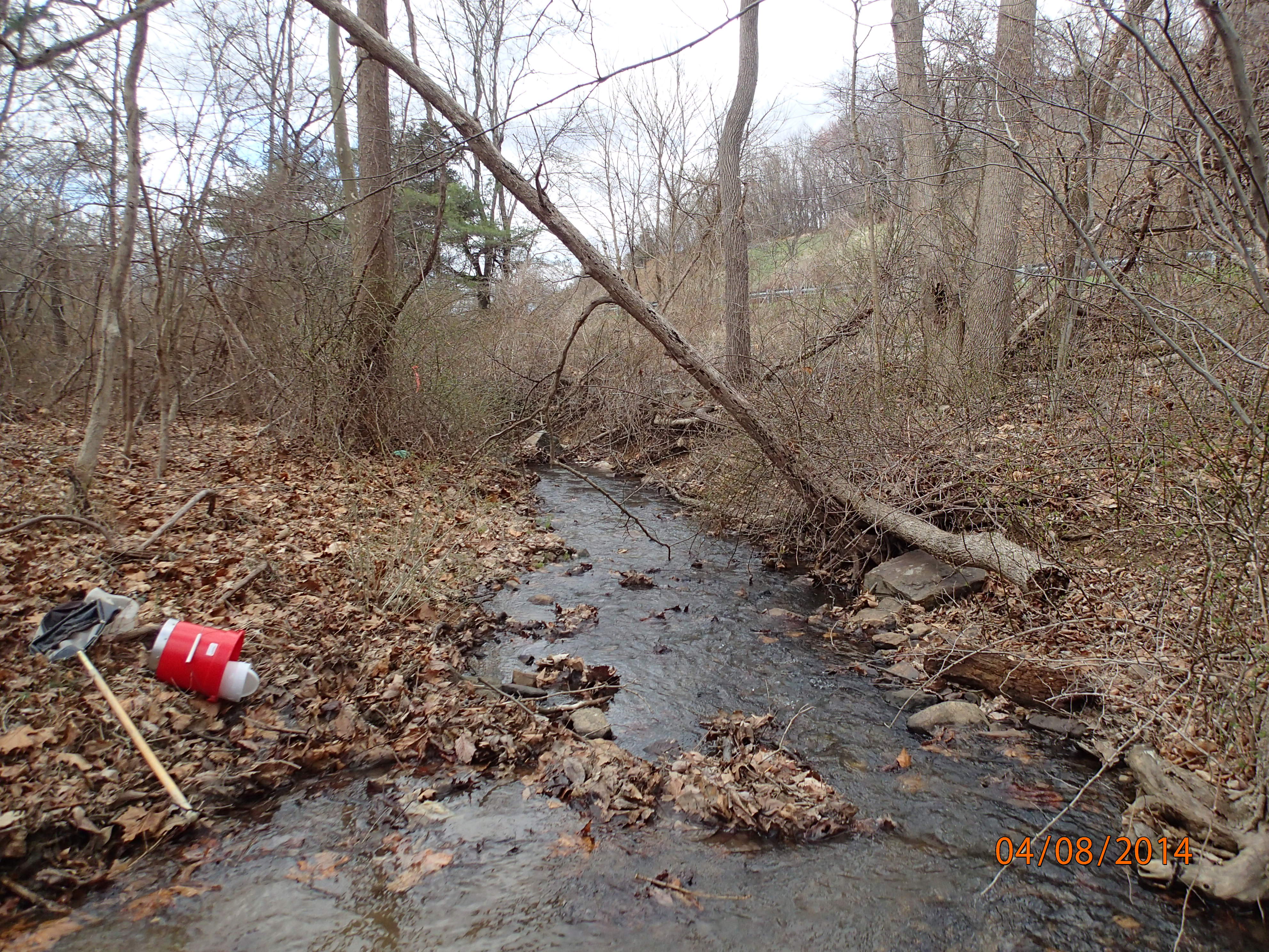 Field photo showing stream conditions at site PRWA-104-R-2014-MidpointDownstream